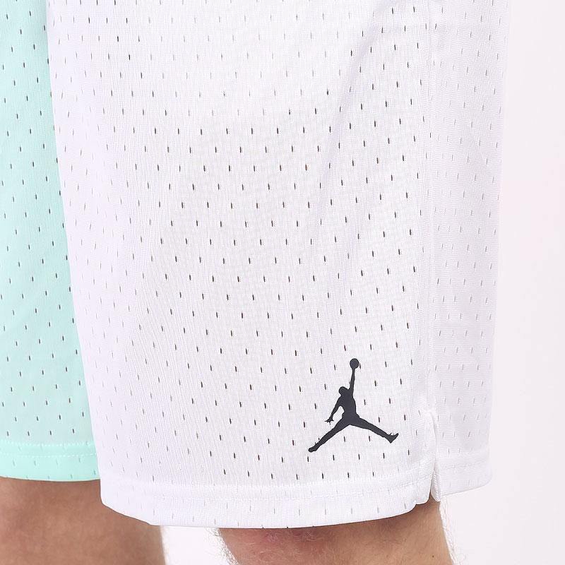 Мужские шорты Jordan Short (DV5030-379)  - цена, описание, фото 4